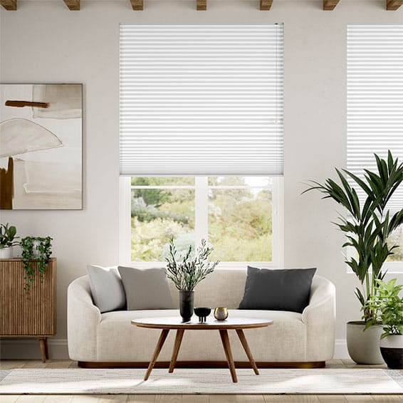 Double Thermal DuoShade Moonstone Pleated Blind