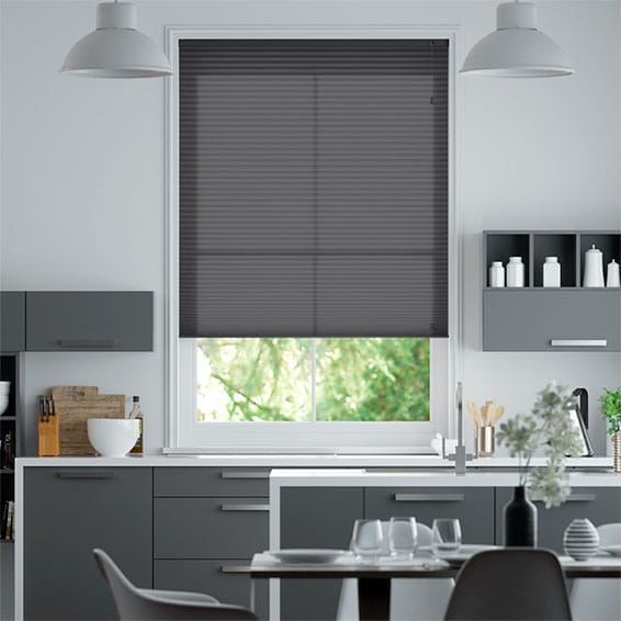 Thermal DuoLight Anthracite Pleated Blind