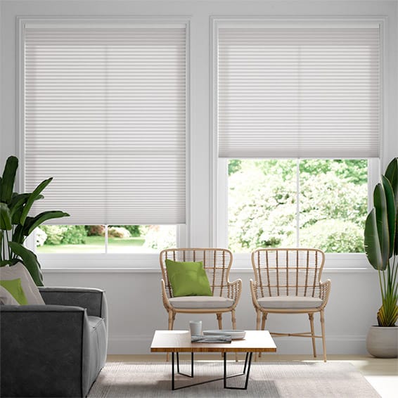Thermal DuoLight Cordless Ash Grey Pleated Blind