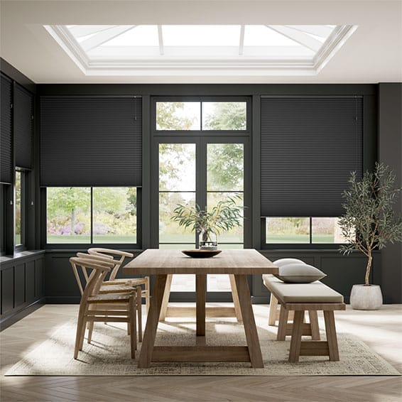 Thermal DuoShade Anthracite Pleated Blind