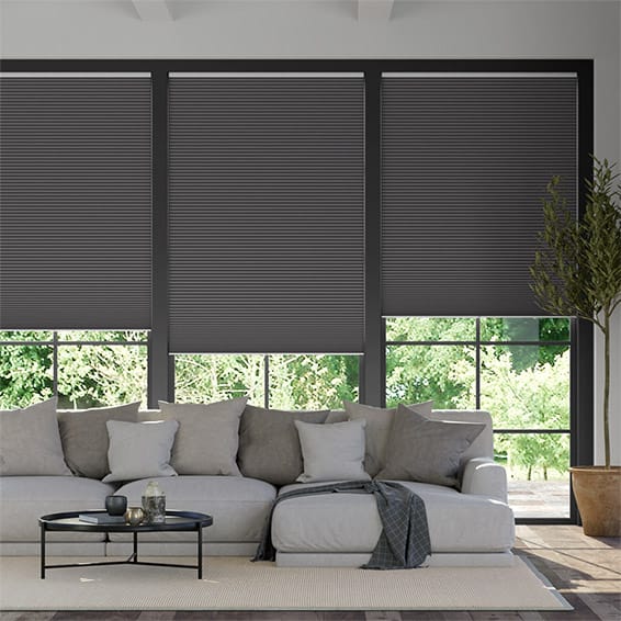 Thermal DuoShade Cordless Anthracite Pleated Blind