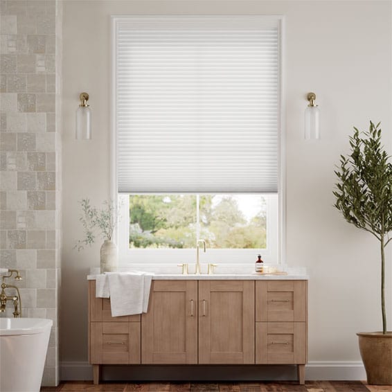 Double Thermal DuoLight Cordless Arctic White Pleated Blind