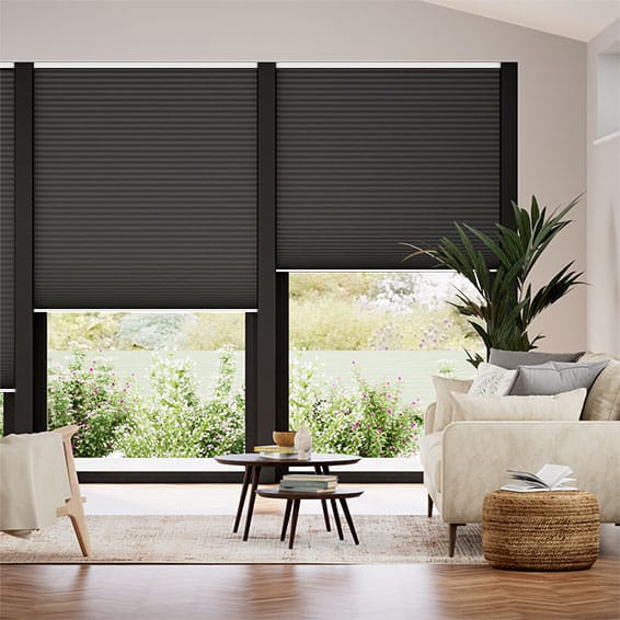 Double Thermal DuoShade Cordless Anthracite Pleated Blind