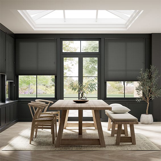 Double Thermal DuoLight Anthracite Pleated Blind