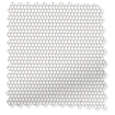 Horizon White Lily Sunscreen Roller Blind sample image